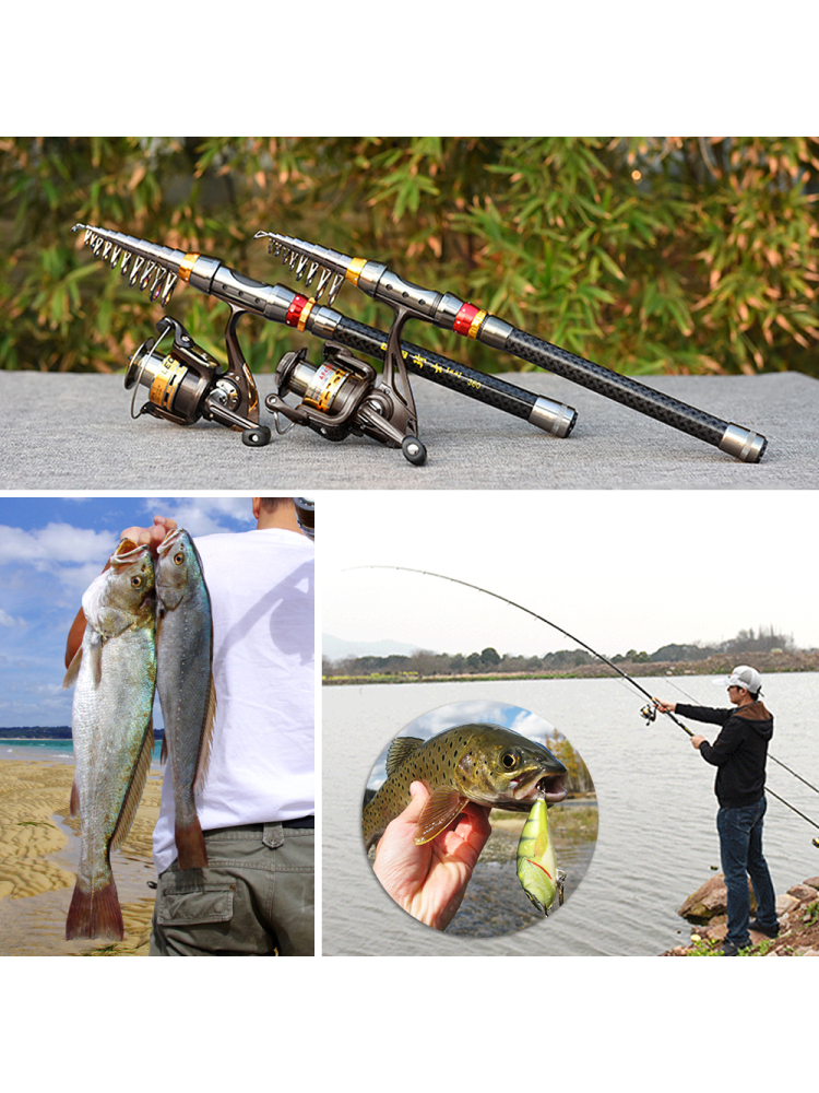 Fishing Rod Spinning Reel Comb - Fishing Lure Jig avaliação e preço